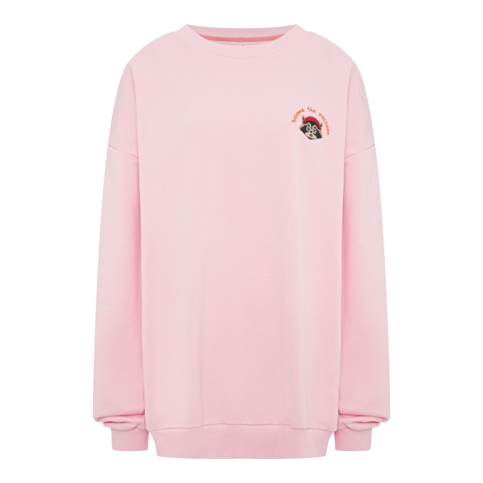Свитшот SWEATSHIRT LONG SLEEVE RACCOON-WHITE Pink