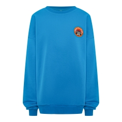 Свитшот-SWEATSHIRT LONG SLEEVE RACCOON-ORANGE BLUE